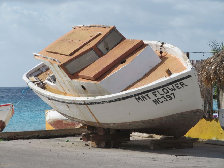 L'épave du Mayflower !