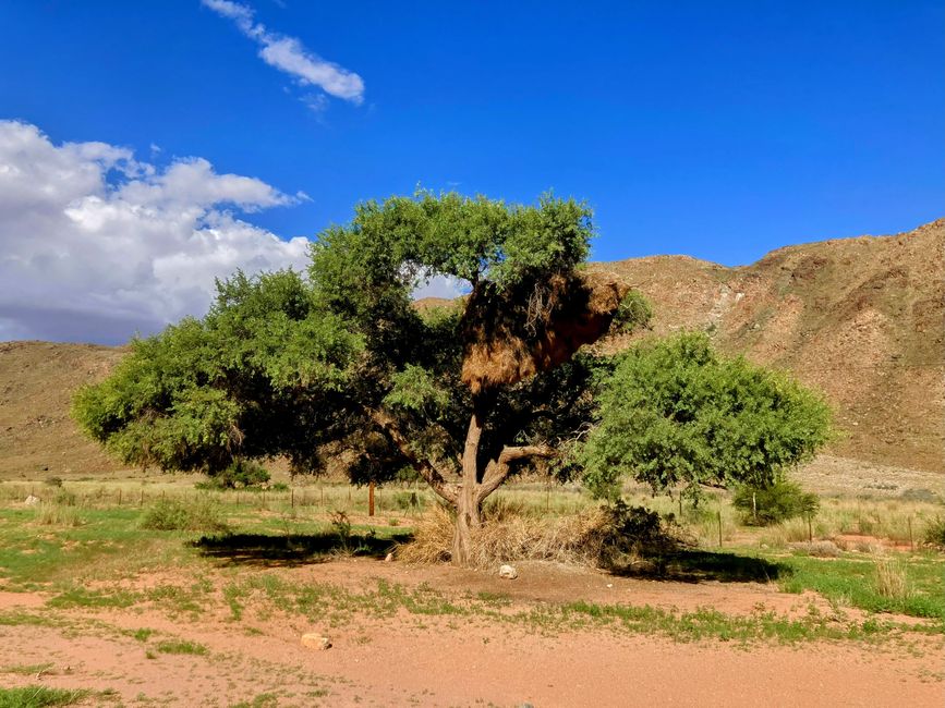 Il deserto namibiano - un mare di sabbia