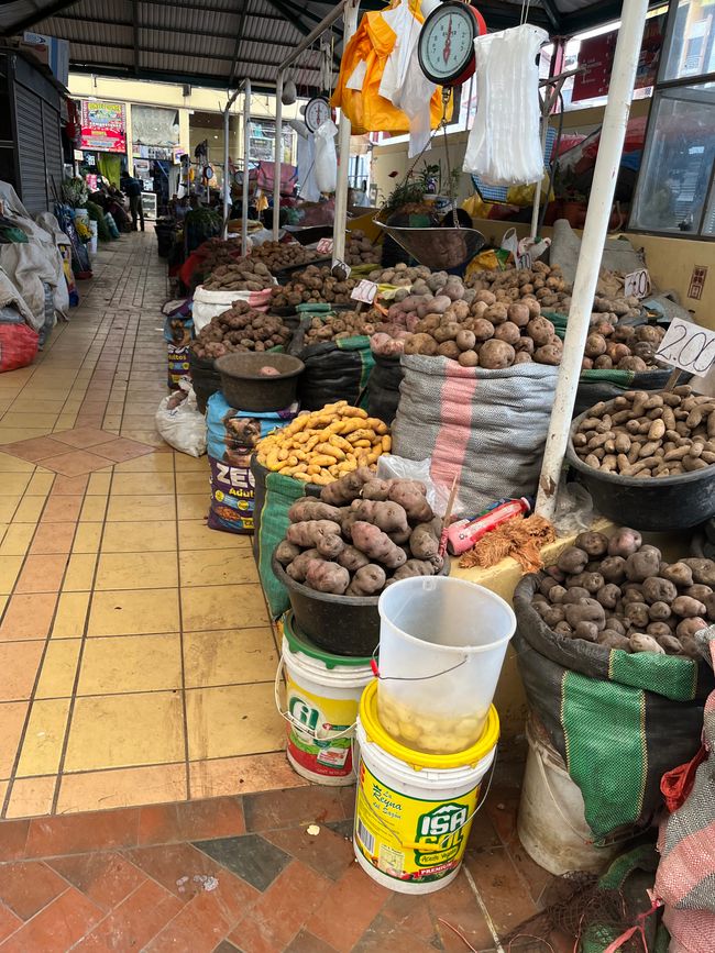 Markt