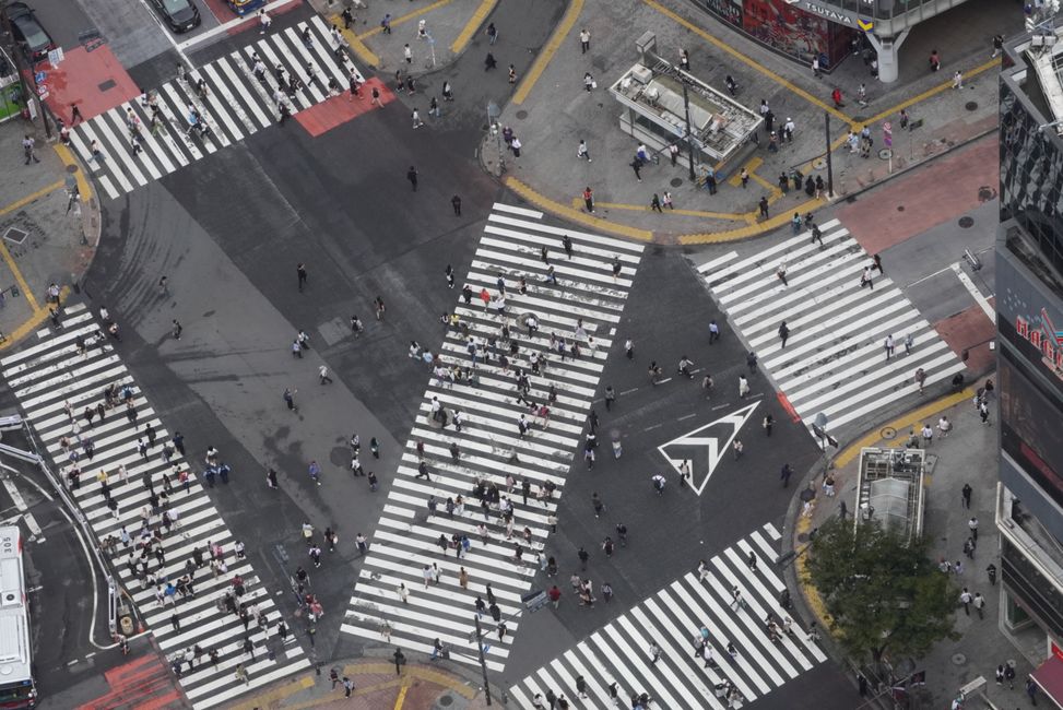 Shibuya y Sumo