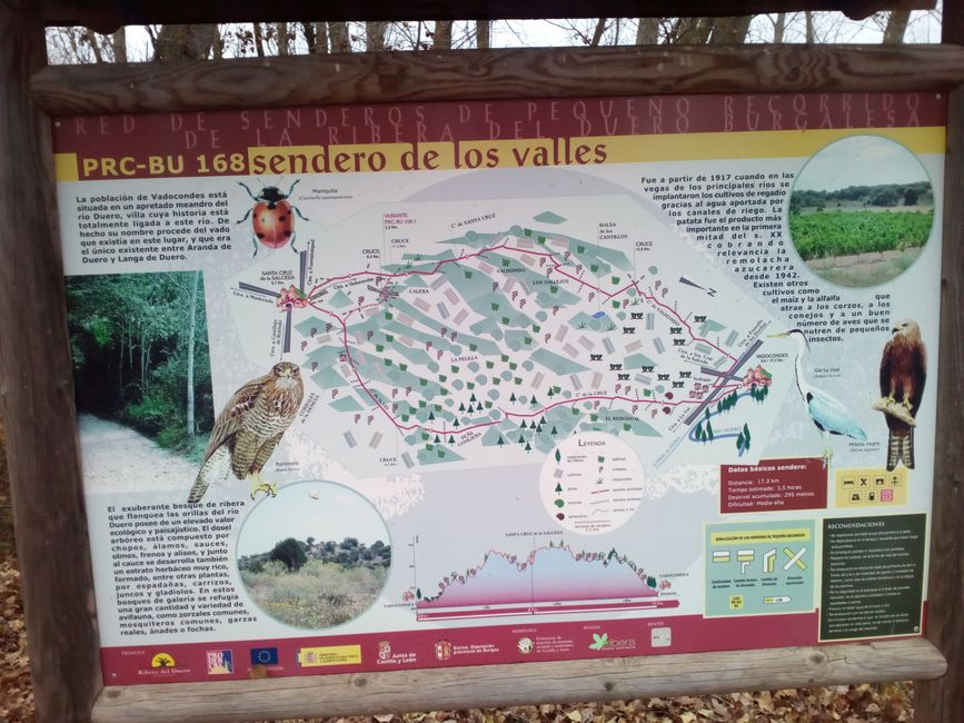 Picknickplatz Vadocondes (Ribera del Duero, Burgos) (Dezember 2021)