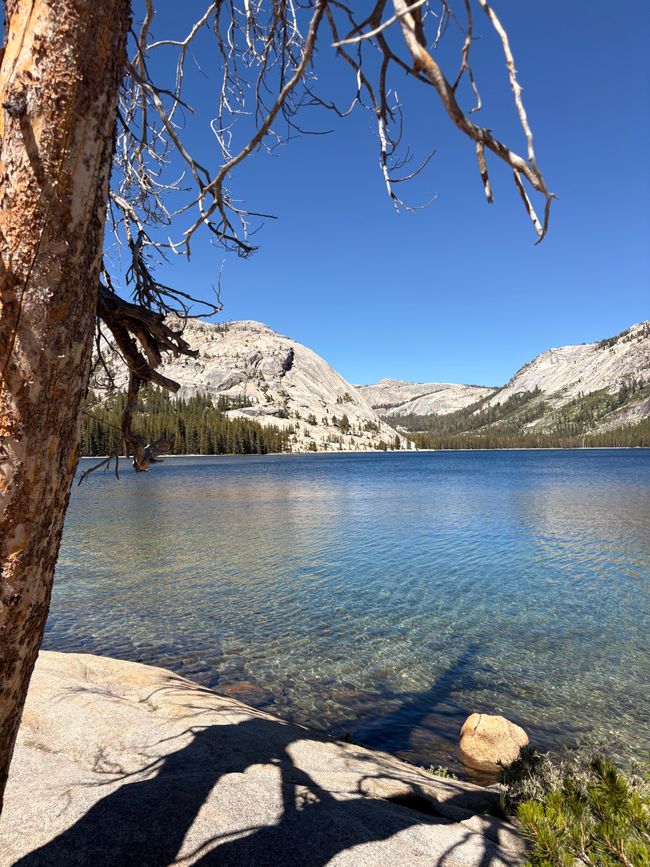 Yosemite National Park