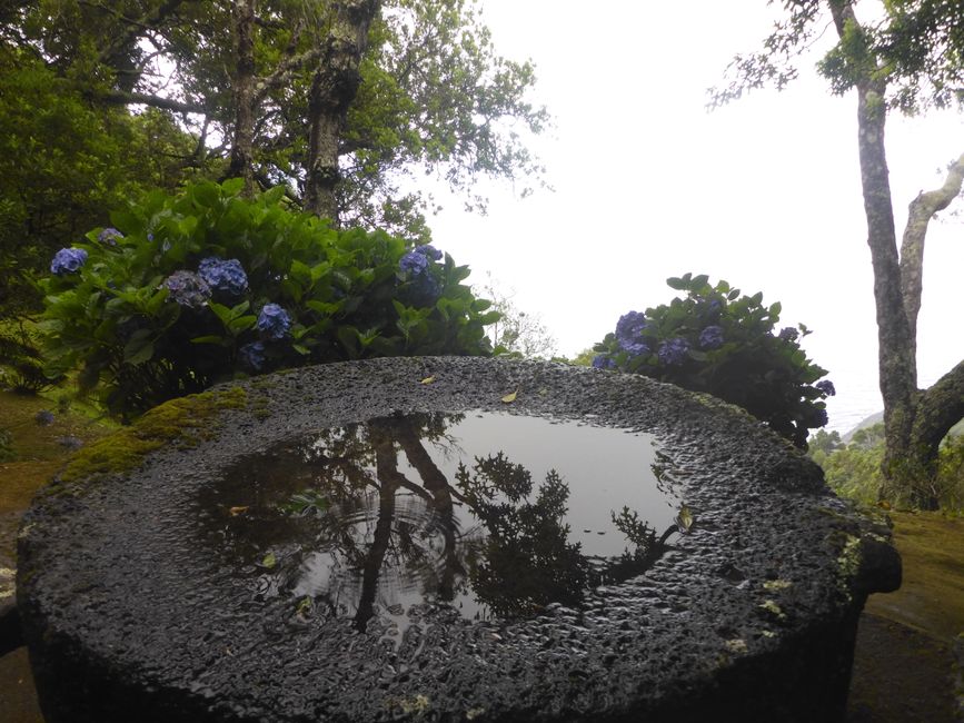 2025-07-12 Azoren, Ponta Delgada