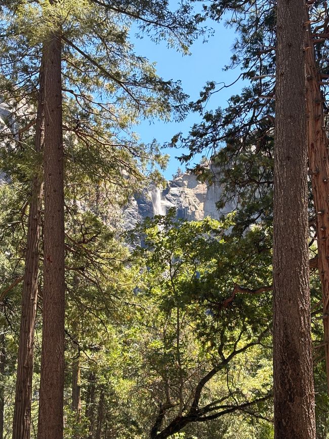 Yosemite National Park