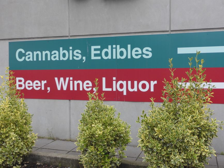 Cannabis für die Lunge oder für die Leber?