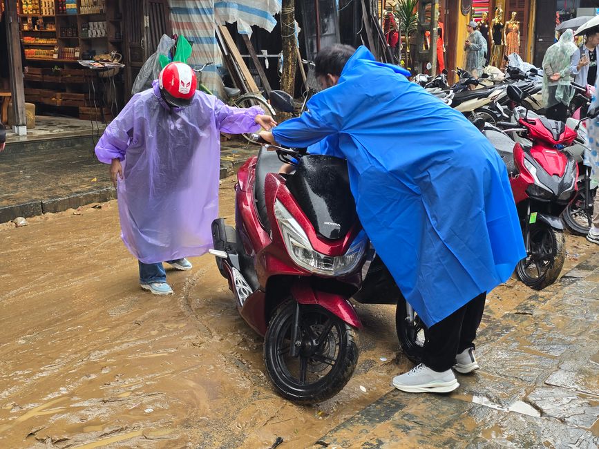 Hoi An - les travaux de nettoyage ont commencé