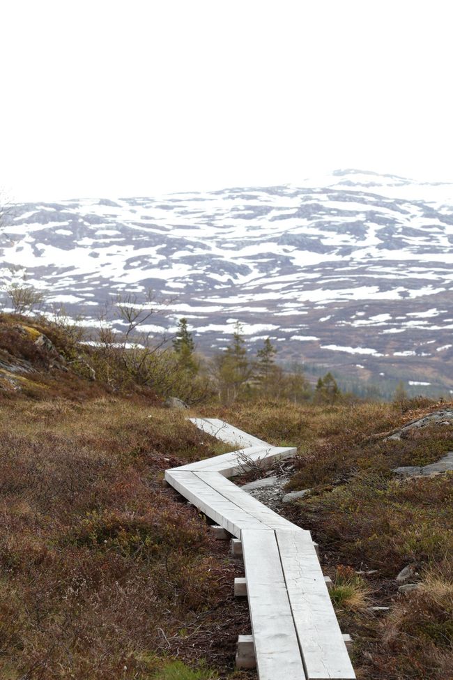 Südnorwegen hat mich in seinen Bann gezogen