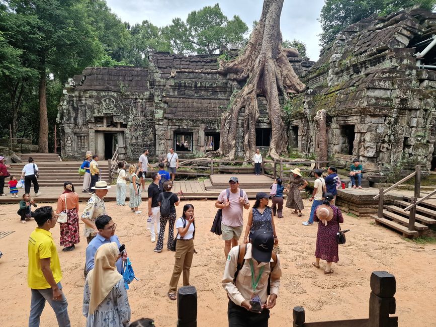 Baphuon und Ta Phrom - Himmelsleiter und himmlischer Ort