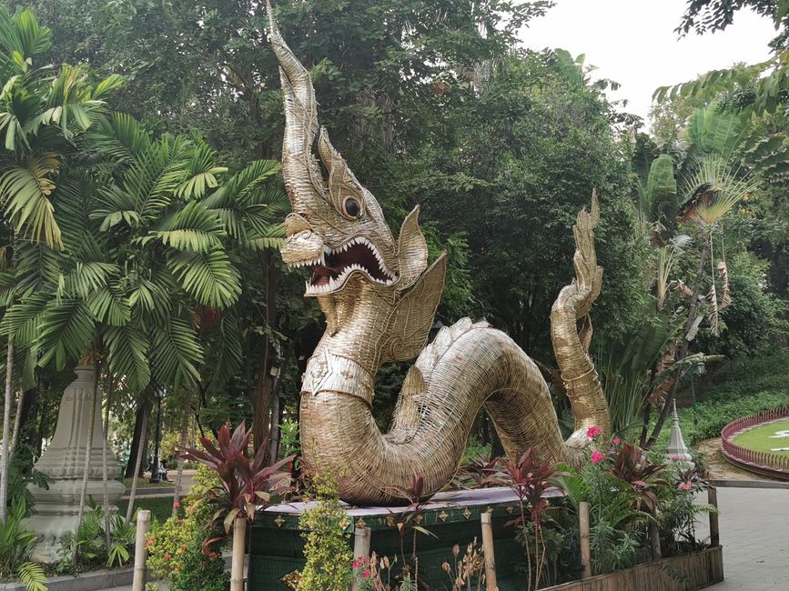 ... un drago protettore ...
