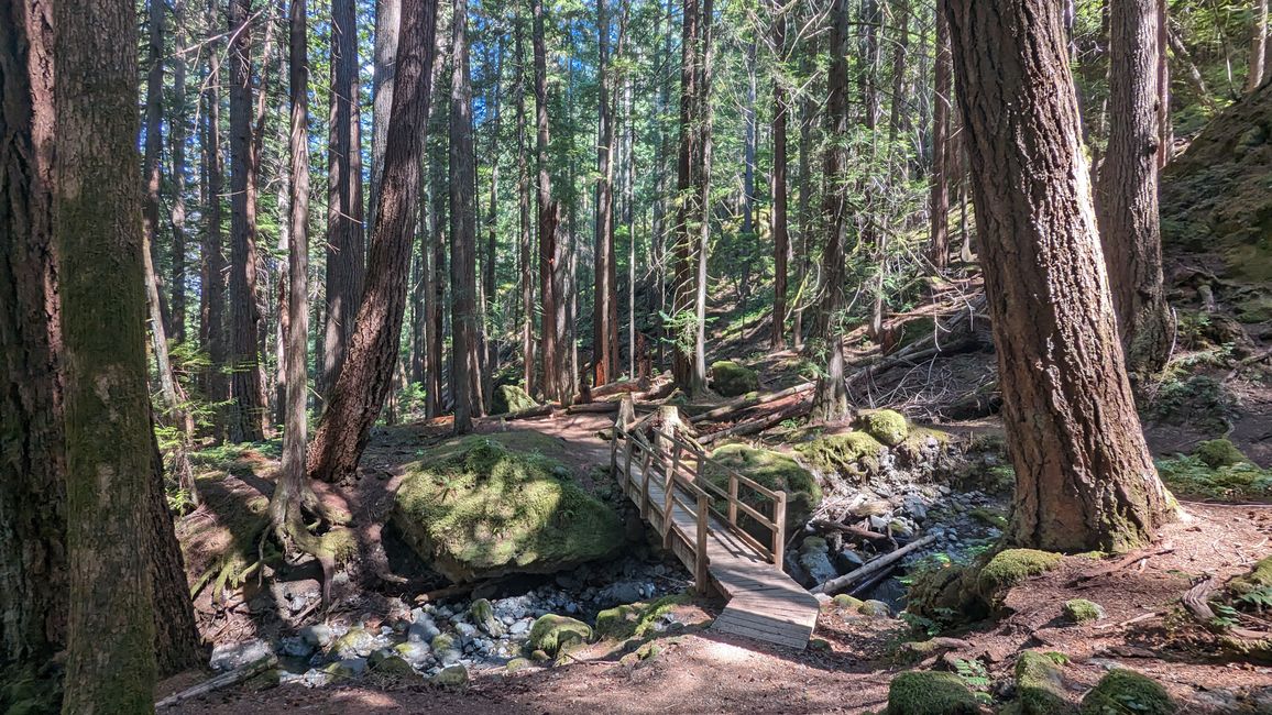 Lupin Falls Trail