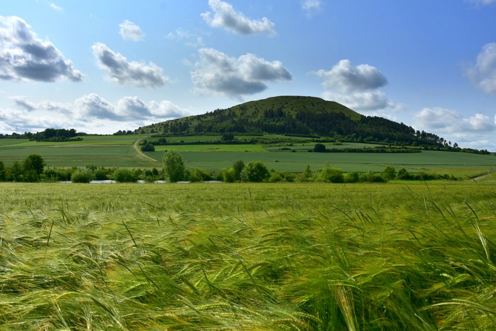 * * * S E C H T A S A F A R I - der Auerochsenweg
bei Bopfingen * * *