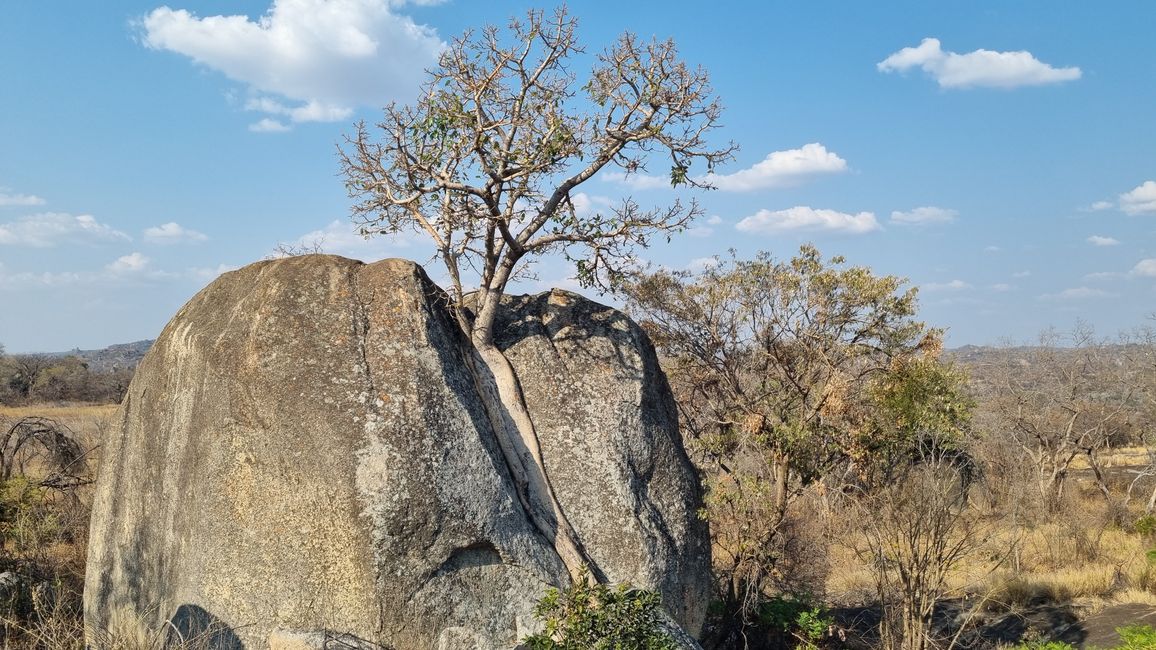 Simbabwe / Botswana 2024