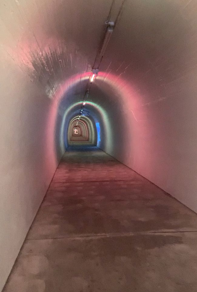 19_WHANGANUI AND SARJEANT GALLERY