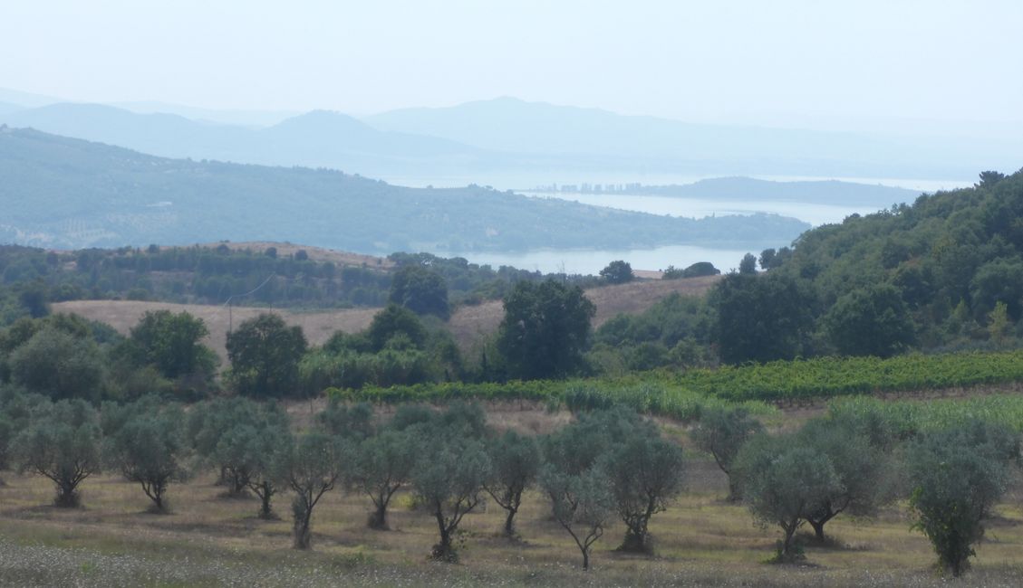 Vom Trasimeno See geht es natürlich erstmal hoch 