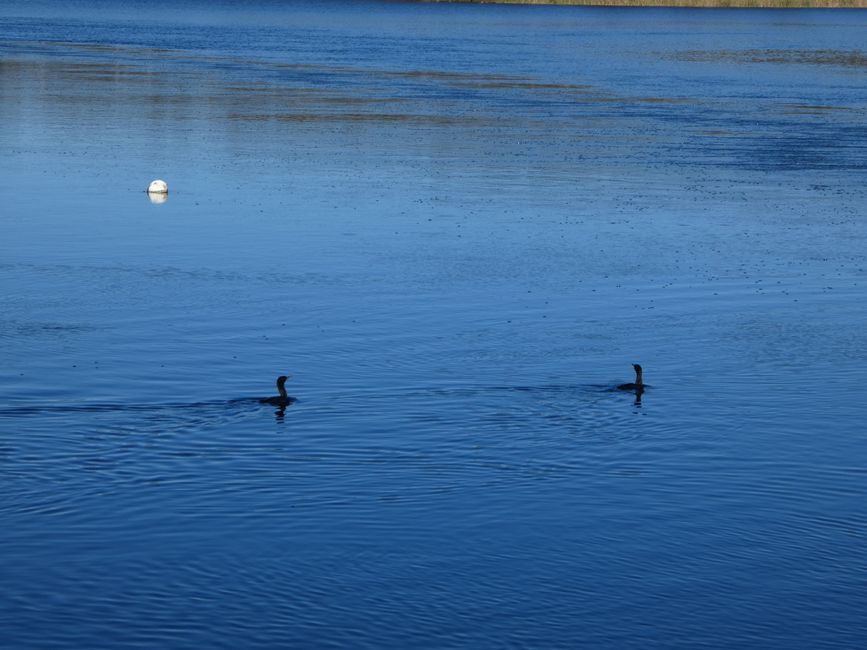 Tanunda, Barossa Valley