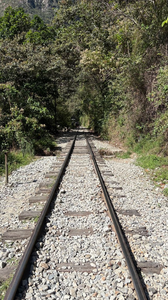 Trek Salkantay vers Macchu Picchu ⛰️