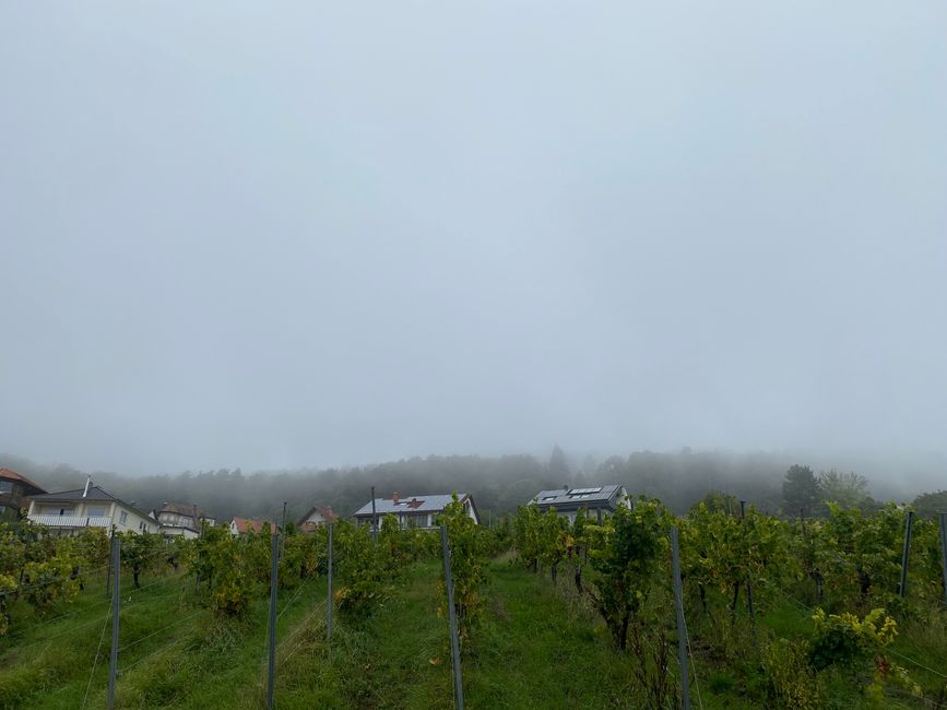 Viel zu viel Nebel für eine schöne Wanderung