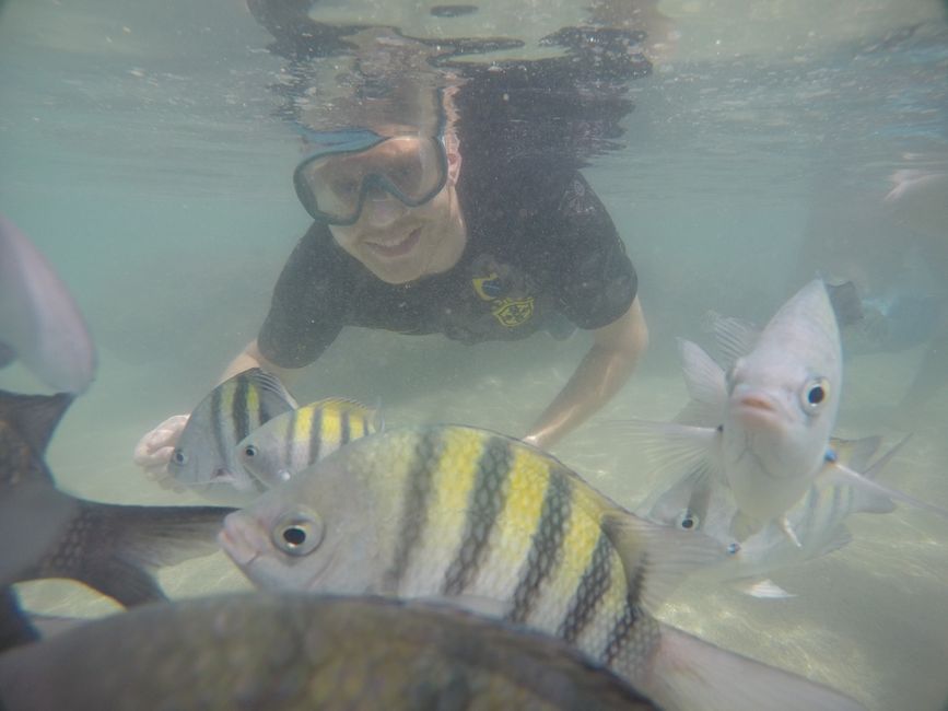 Da ist der Geburtstag 