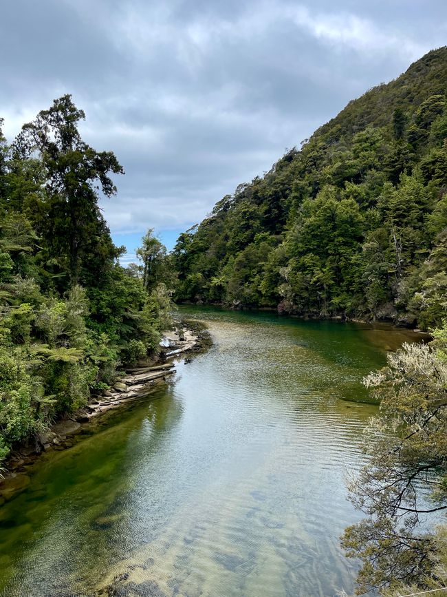 Week 6 - Nelson + Abel Tasman Coast Walk