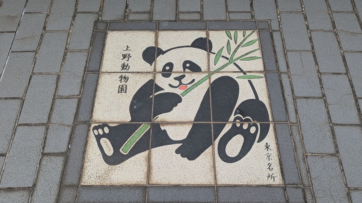 Prime impressioni di Tokyo