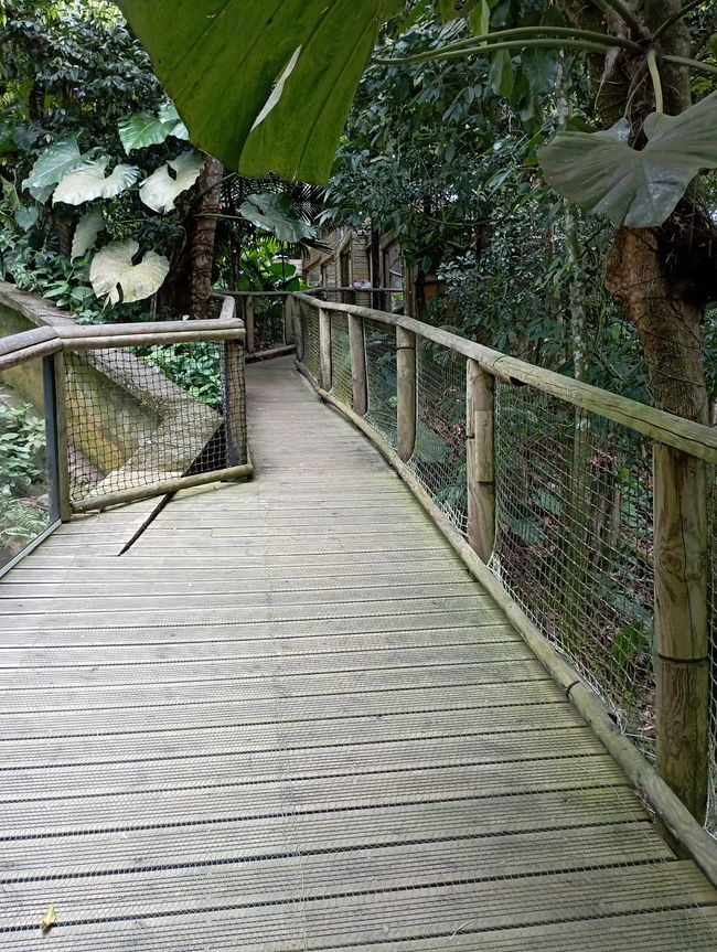 Zoo Guadeloupe