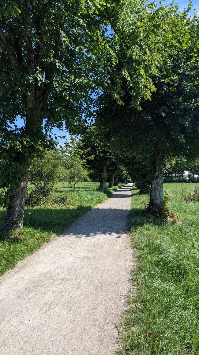 Pausentag ( für mein Gepäck)😀