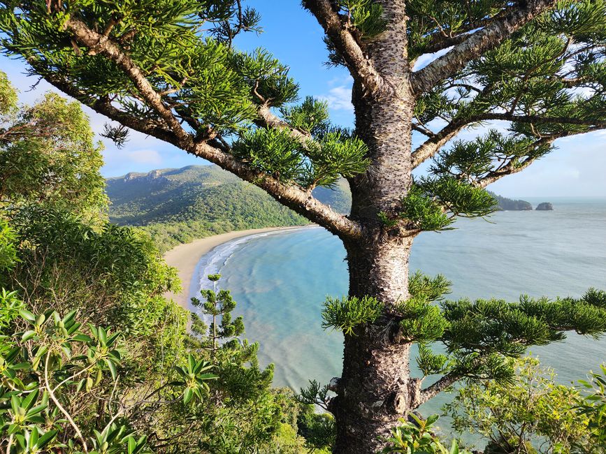 Tag 21, 15. Mai, Cape Hillsborough Nationalpark