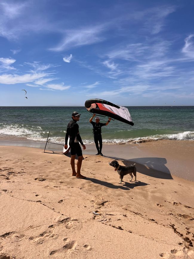 Gone with the Wind: Tarifa, Europe's Wind Wonderland!