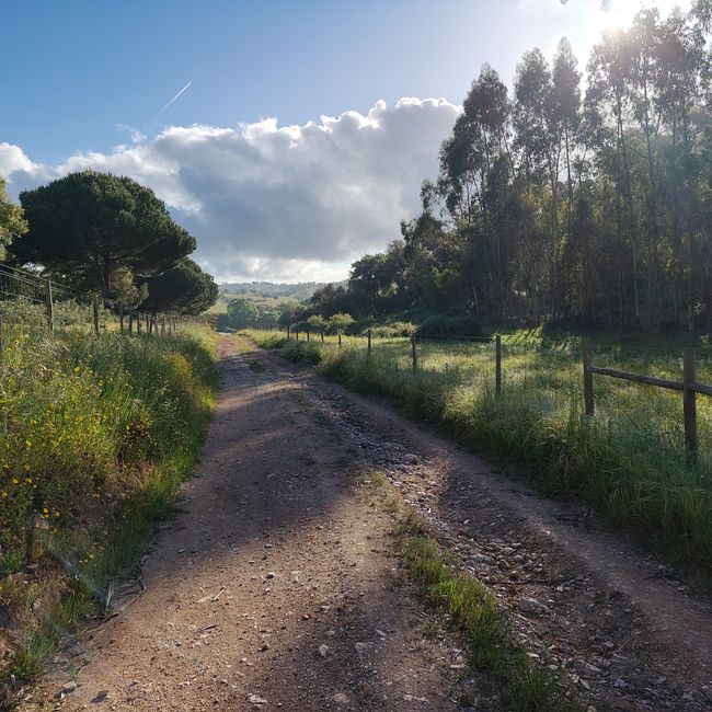 Cercal de Alentejo -> Vale Seco