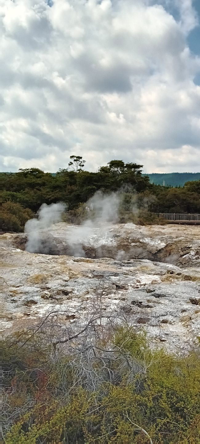 Wai-O-Tapu / Rotorua