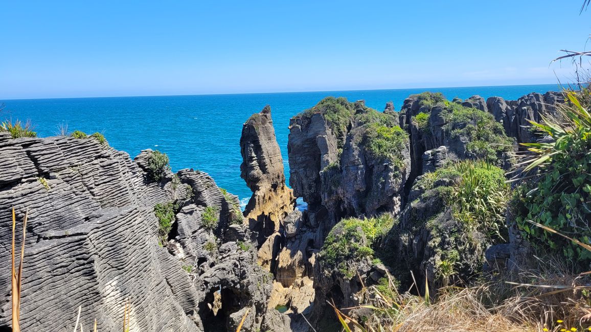29.Januar-27.Februar 2025 Neuseeland
15.Januar