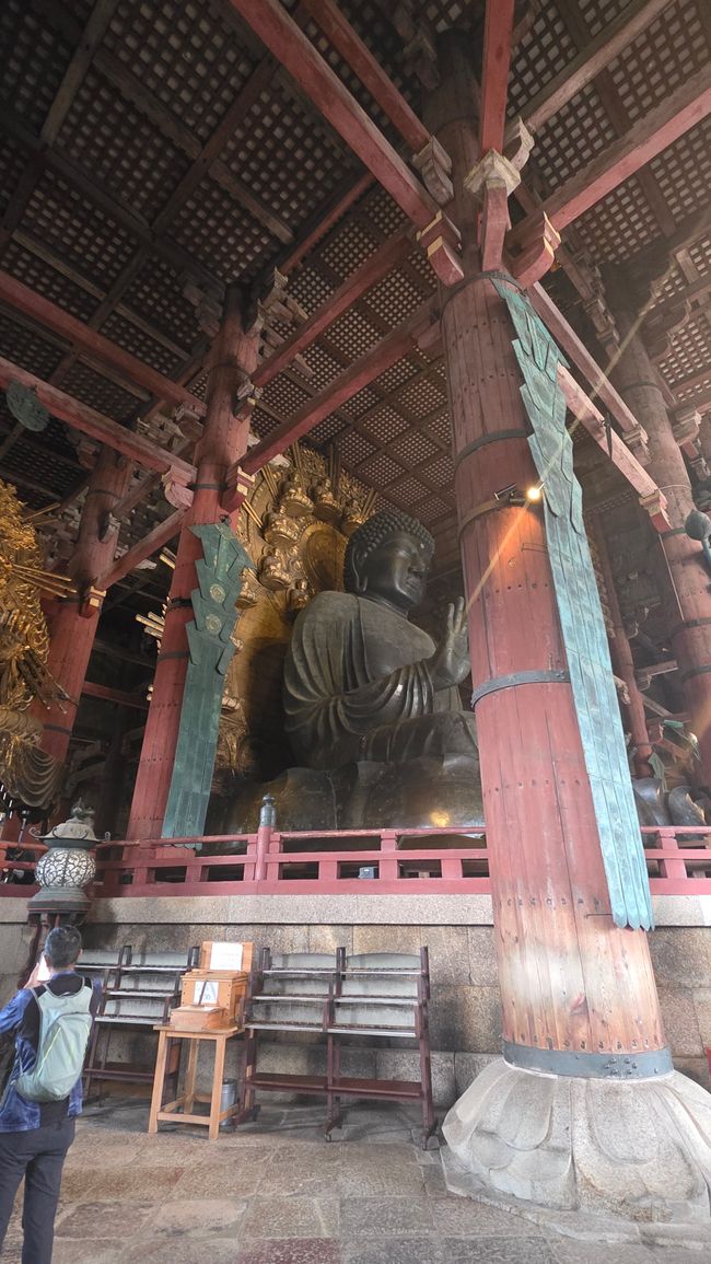 Osaka 'kuidaore' ➡️ mangiare fino a cadere