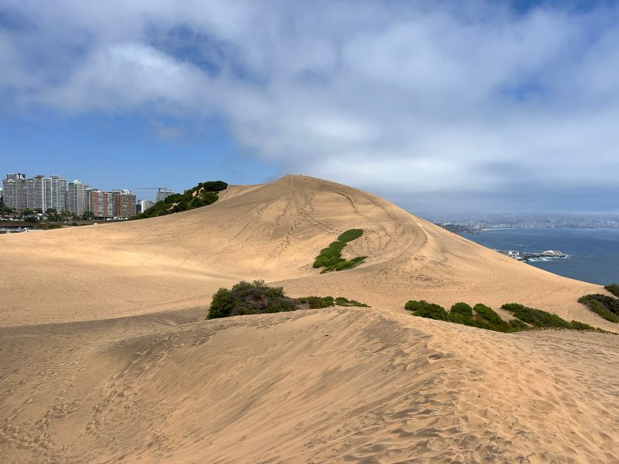 🛠️👨‍💻Giorni 44-47 (20-23 novembre) Viña del Mar / Concón