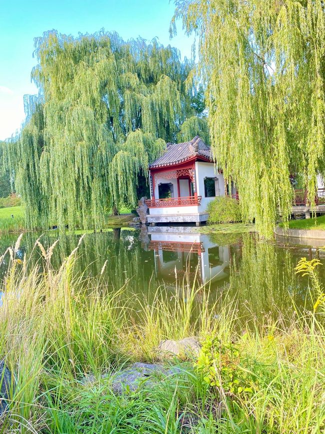 After the Spreewald came the high of excitement