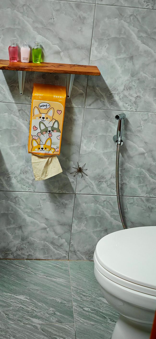 wir haben ihn Willie getauft