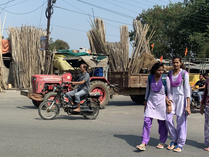 BLOG 6: Indische Strassen / Streets of India