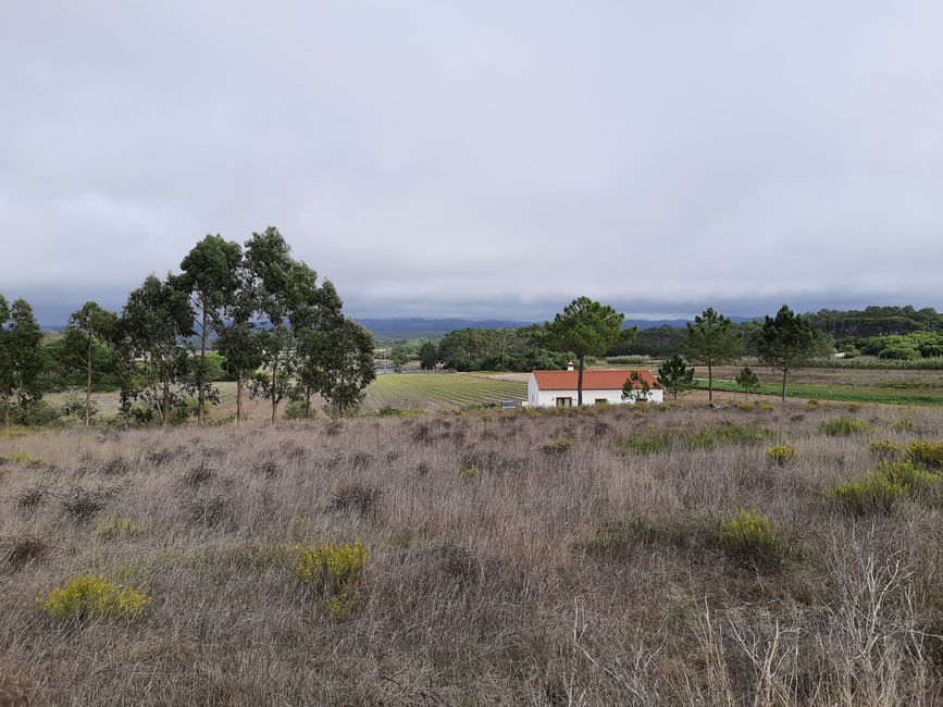 6. Etapa: Costa, Prados y Bosques