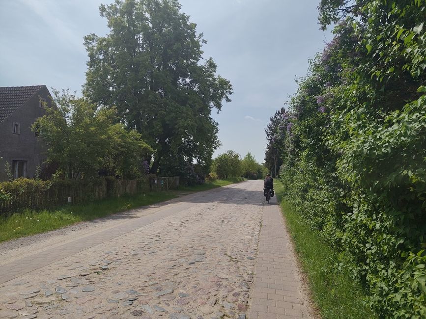 Es gibt einen Weg neben dem Kopfsteinpflaster? Nehmen wir!