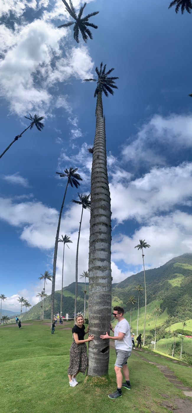 Día 4: Valle de Cocora 🌴, Salento 🏘️, Plantación de café ☕️