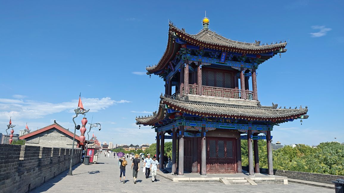 Die steinerne Bibliothek