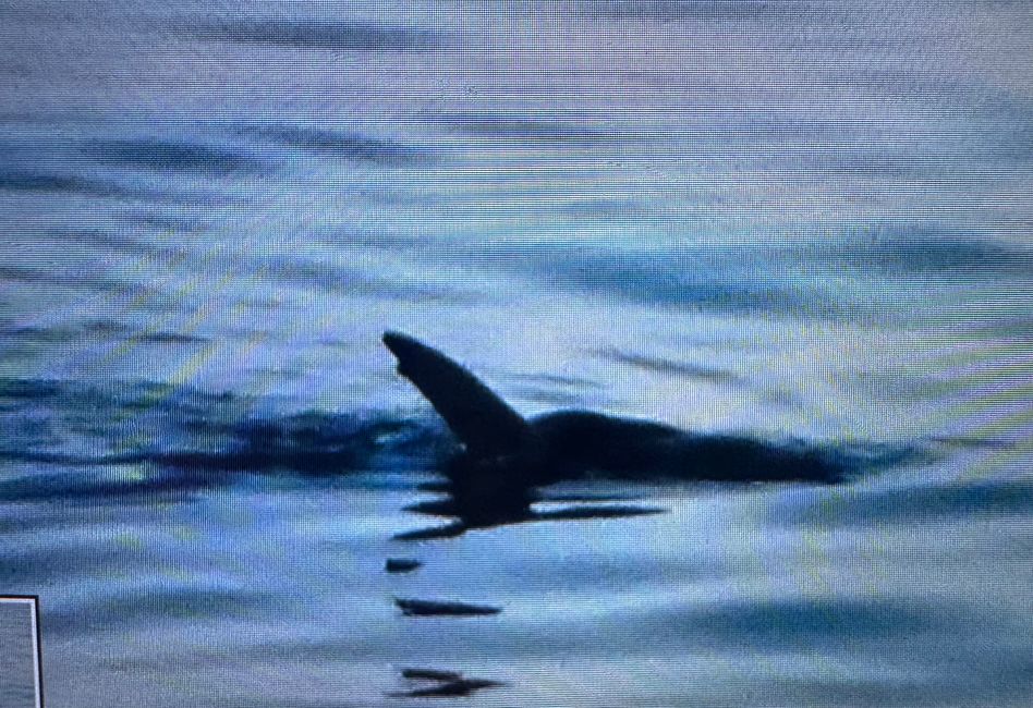 South Africa🇿🇦Week 6