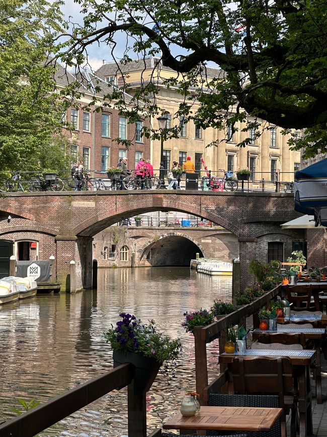 Hollandtour mit Start in Utrecht 🤘