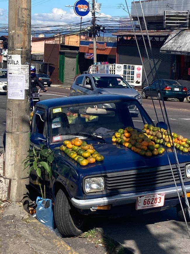Weihnachten in San José