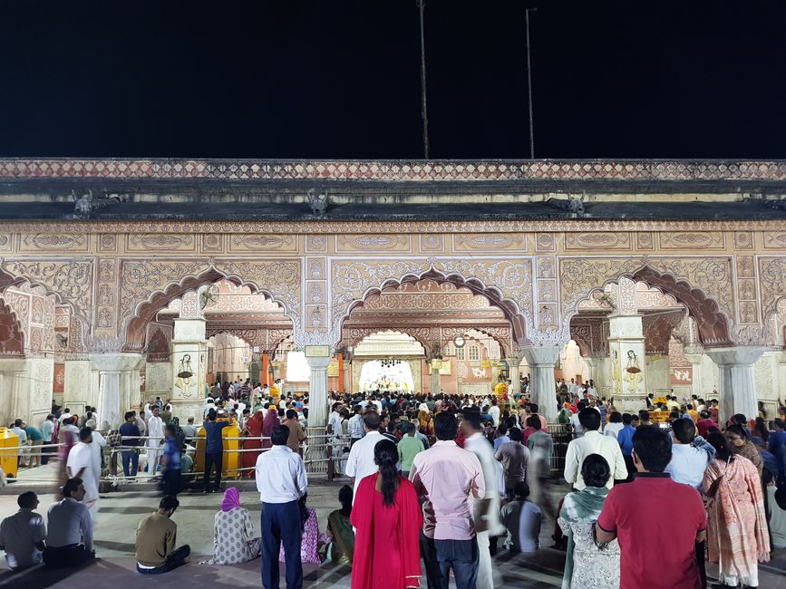 Hindu Ceremony and Monkey Temple