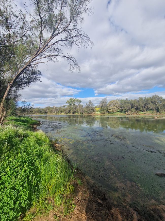 River at the Galena Bridge Camp Area