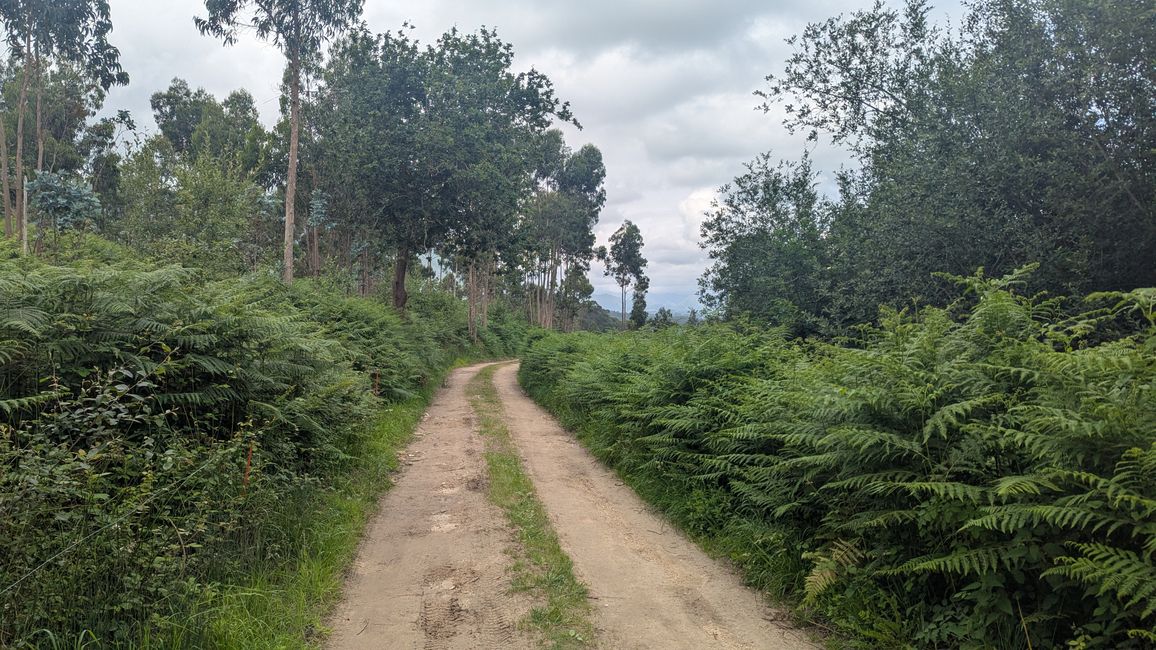 13. Stage Camino del Norte from Barro to Camango