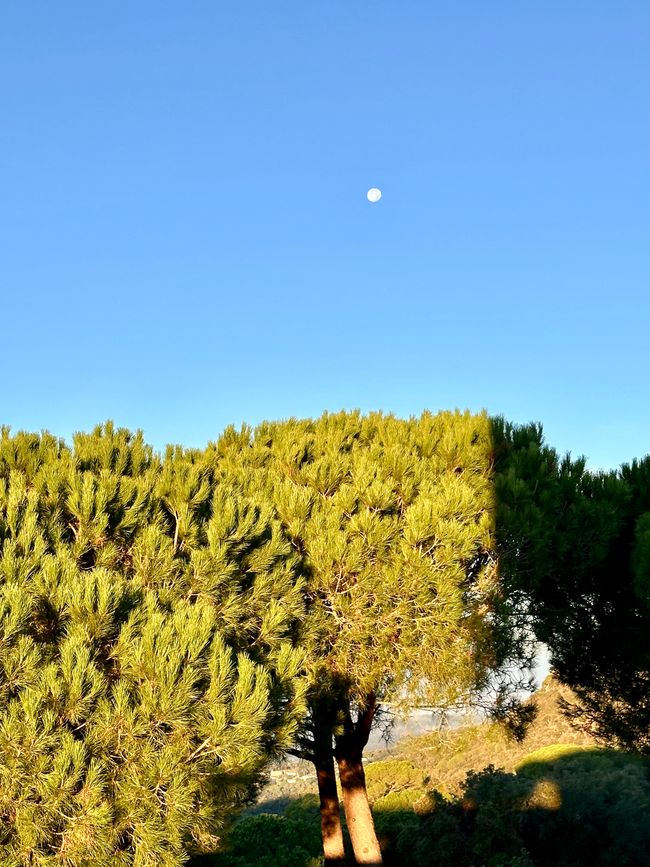 Sun, beach in Palamós and relaxation