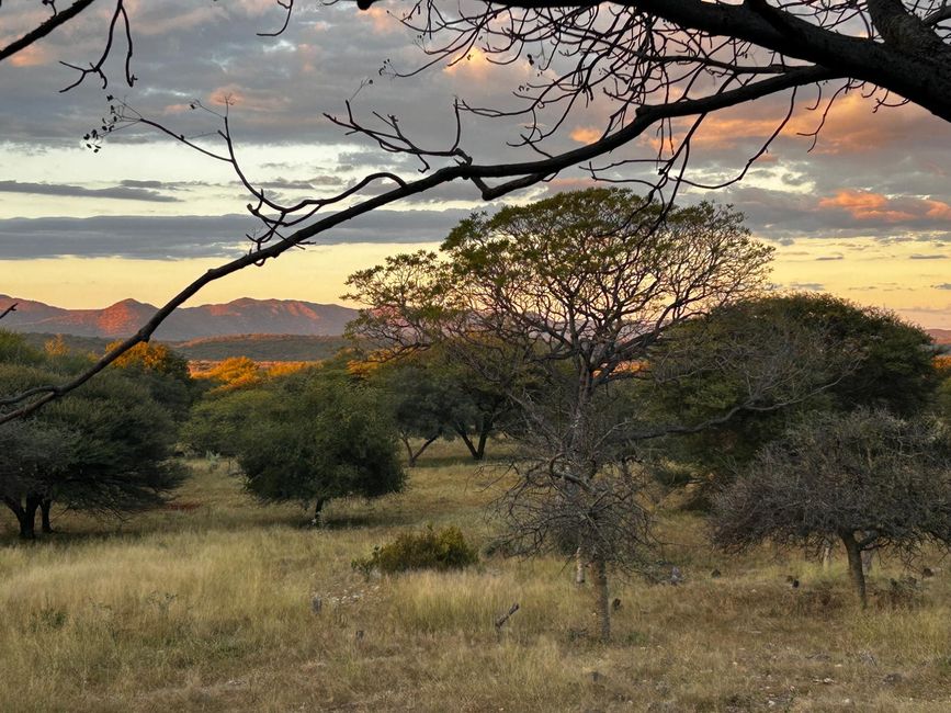 Das Licht in Namibia