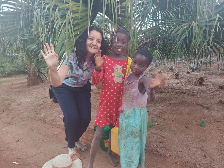 Botanischer Garten in Gondola