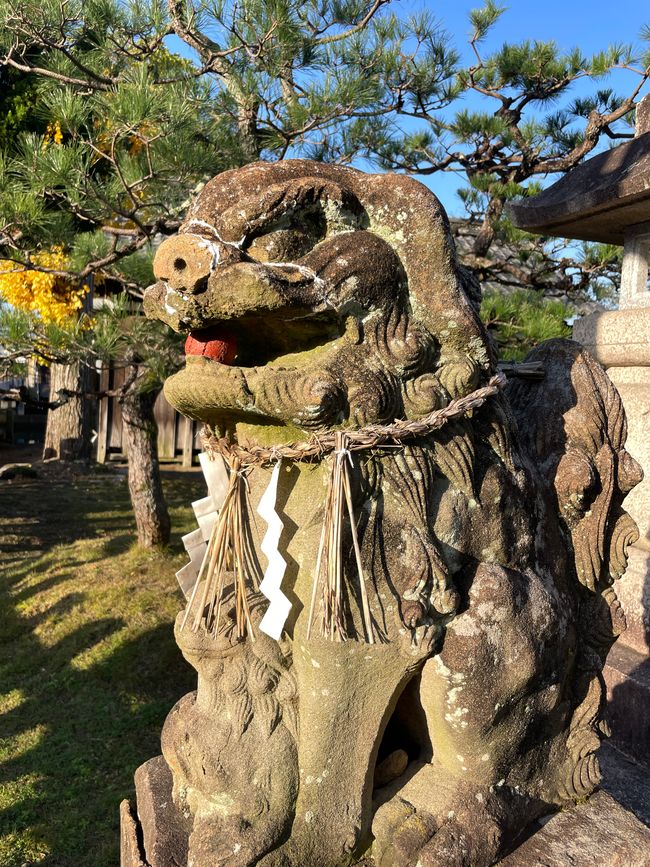30.Kapitel: Adler über Maizuru oder genug ist vielleicht mal genug